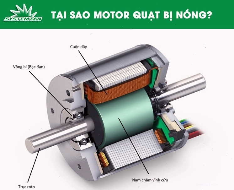 Cấu tạo chi tiết motor quạt điện phục vụ sửa chữa
