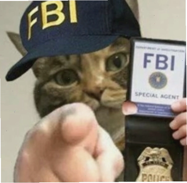Công an meme 3