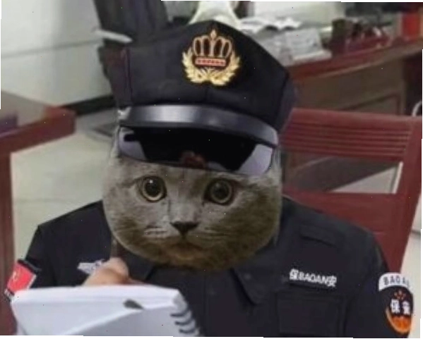 Công an meme 8