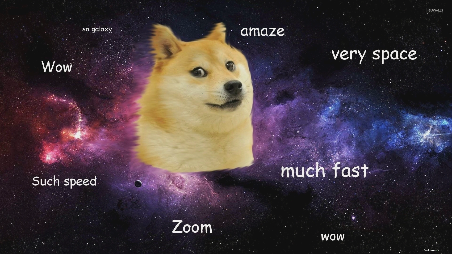 Doge Meme Wallpaper với hiệu ứng 3D ấn tượng