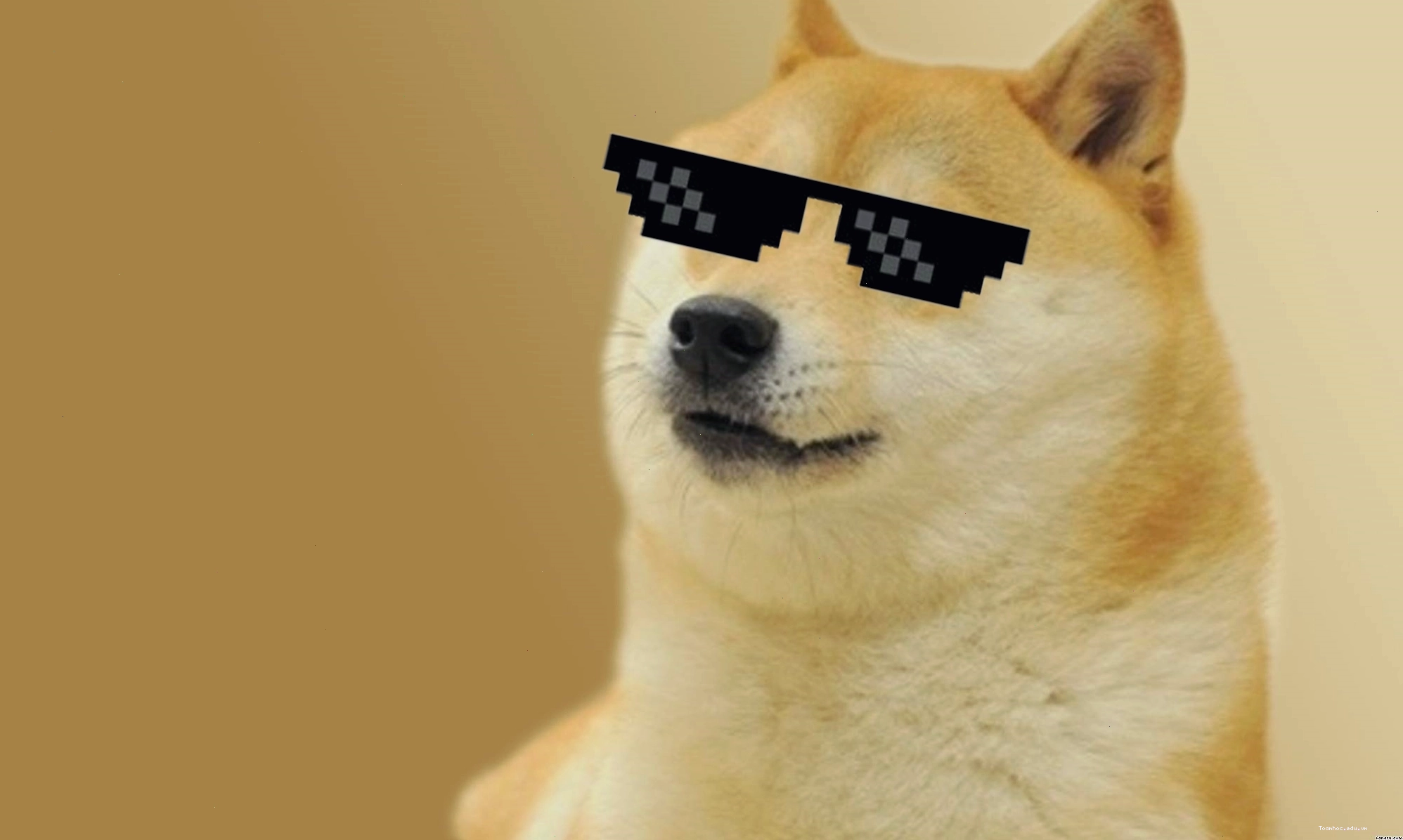 Doge wallpaper với phong cách hoạt hình dễ thương