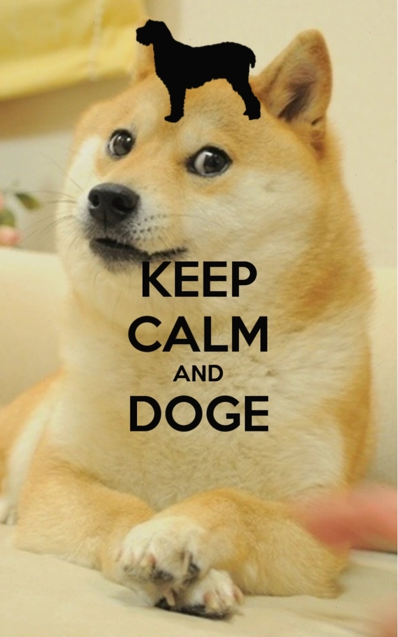 Dogecoin meme wallpaper