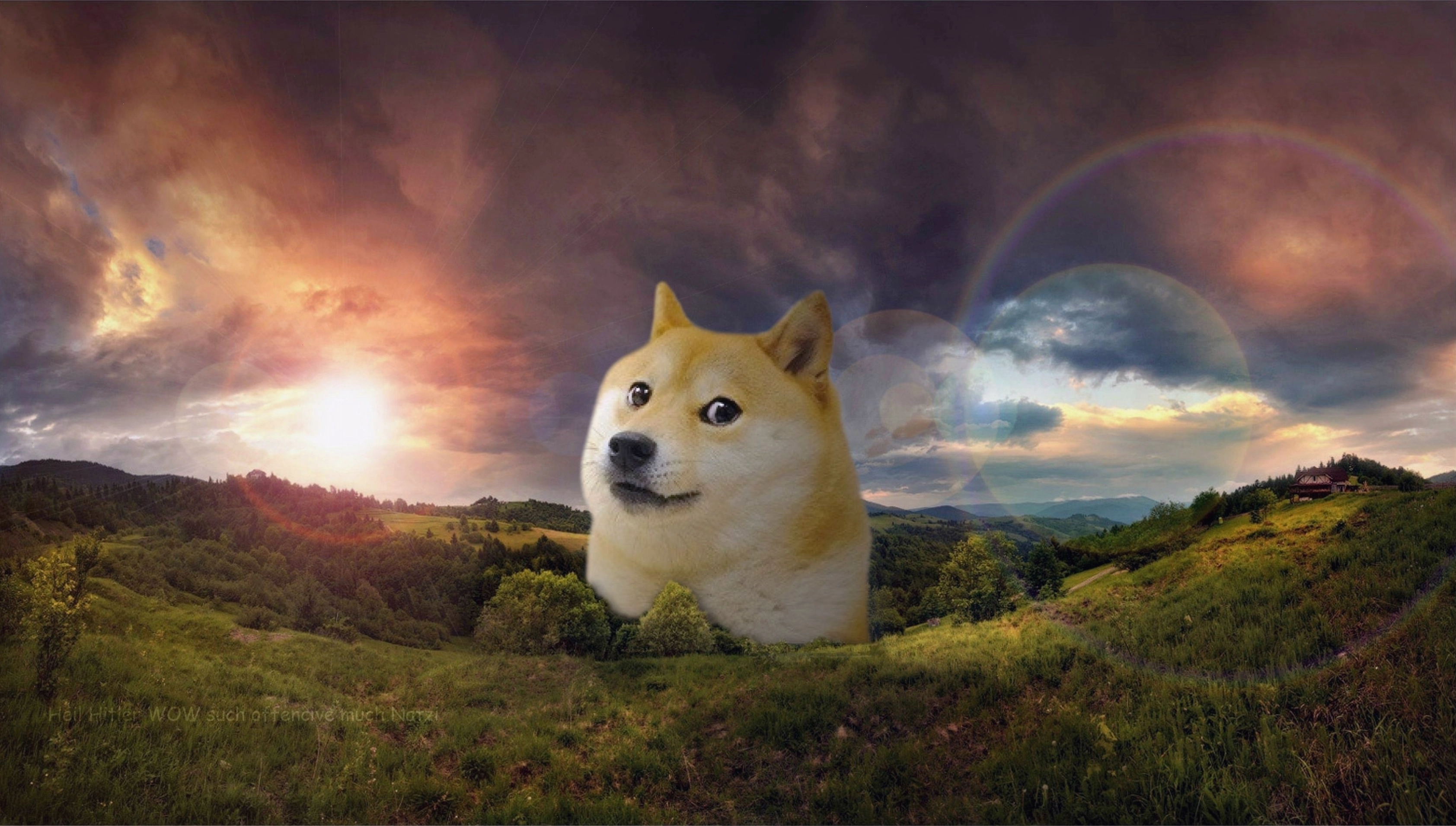 Dogecoin wallpaper