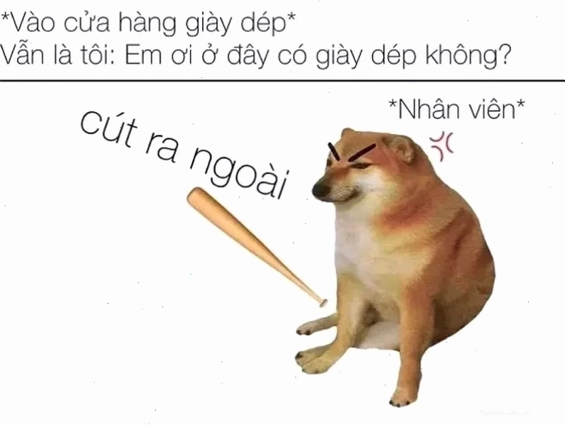 Gợi ý những bức meme cút ngầu và chất lừ