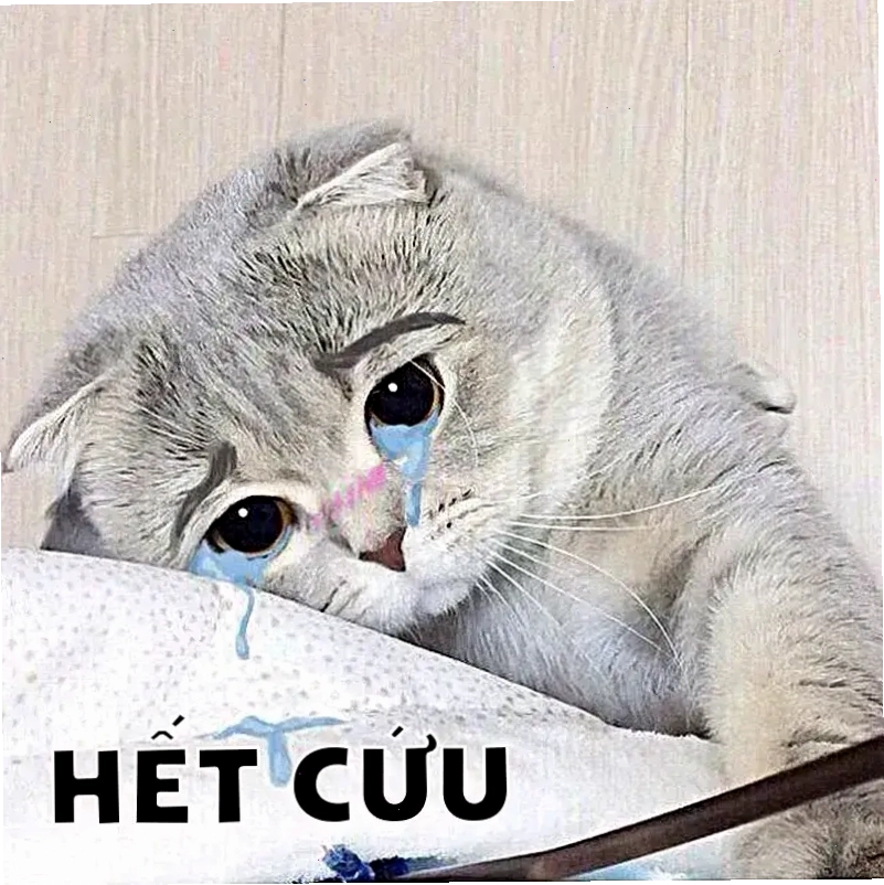 Hình ảnh meme hài thể hiện thái độ buông bỏ đầy châm biếm