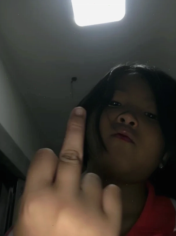 Hình ảnh meme ngón giữa hài hước cho avatar