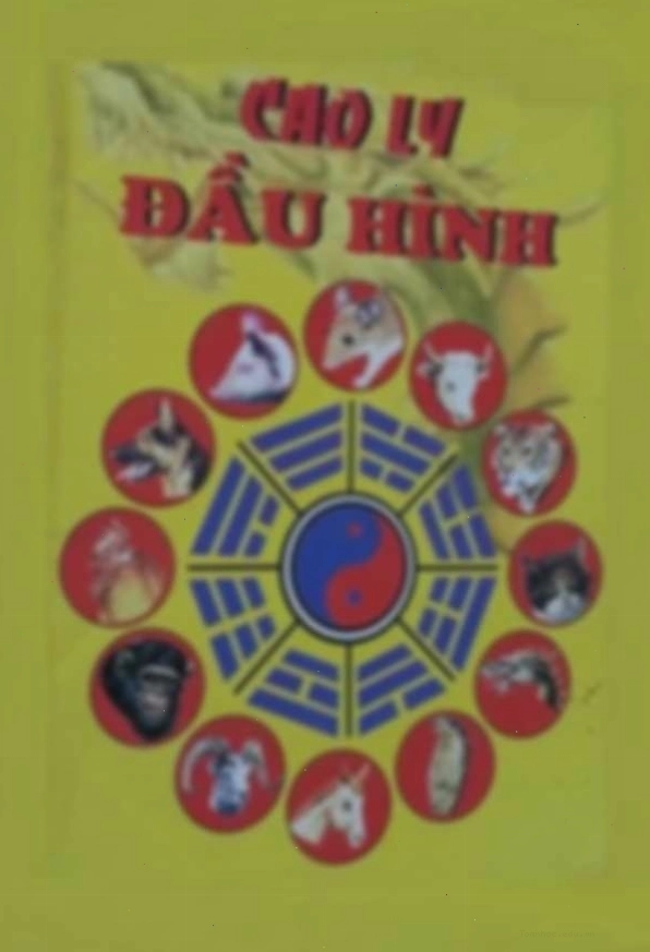 Hình ảnh minh họa Cao ly đầu hình