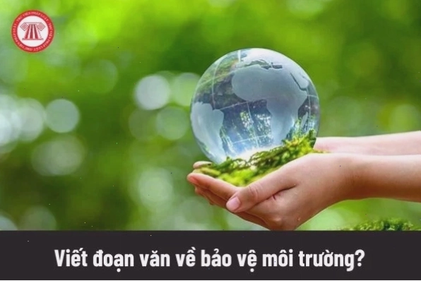 Hình ảnh minh họa ứng dụng của hình tròn trong thiết kế