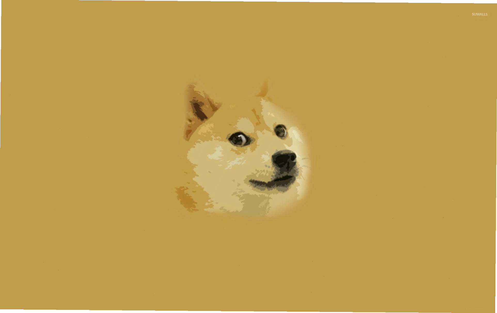Hình nền Dog meme vui nhộn với nhiều câu chữ hài hước