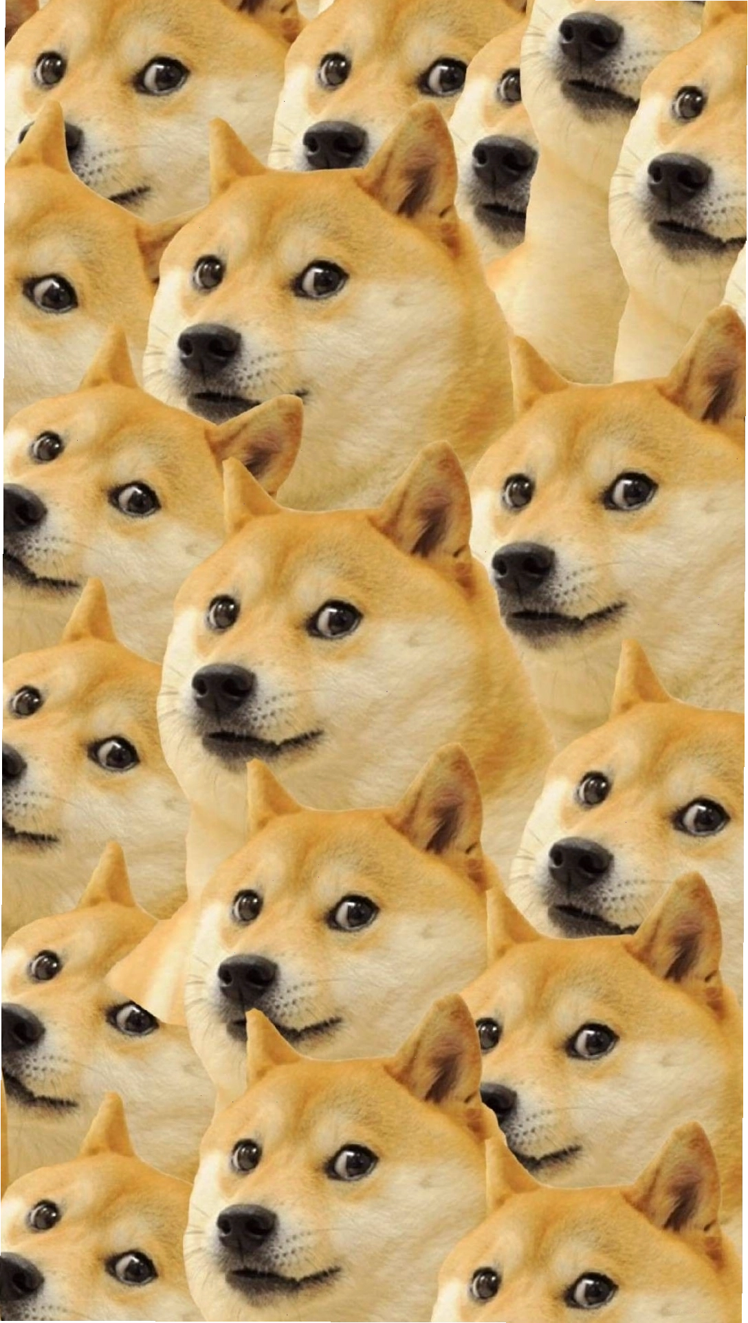 Hình nền Doge trên điện thoại với phong cách tối giản