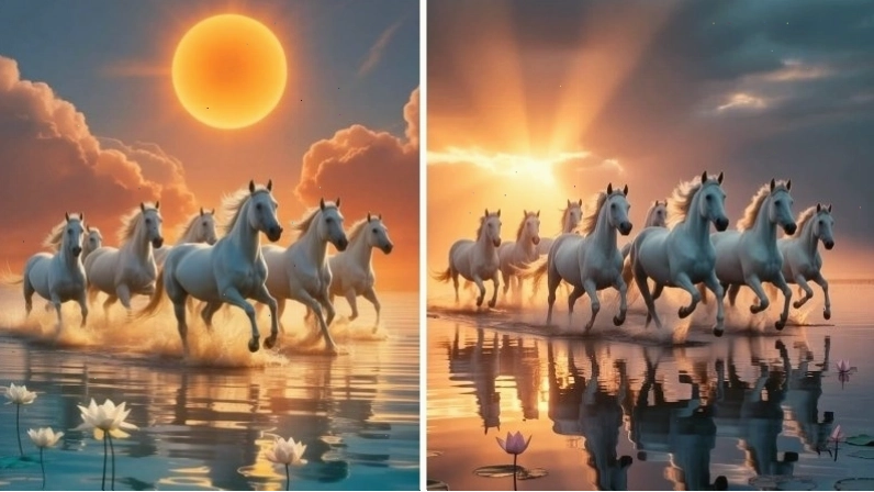 Hình nền mã đáo thành công đẹp nhất