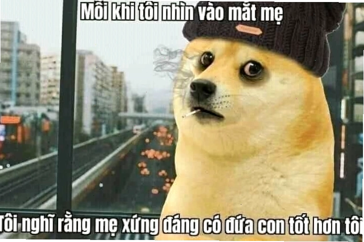 Hình vui vì bạn xứng đáng với biểu cảm hài hước