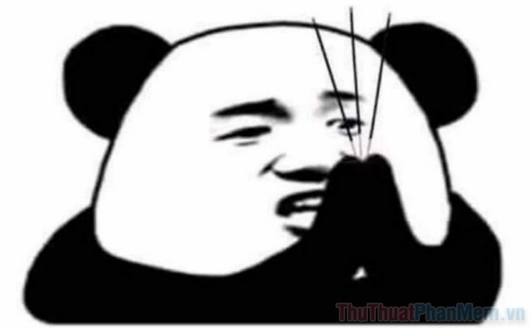 Khám Phá Thế Giới Meme Gấu Trúc Trung Quốc: Hài Hước, Bựa Lầy và Cực Dễ Thương