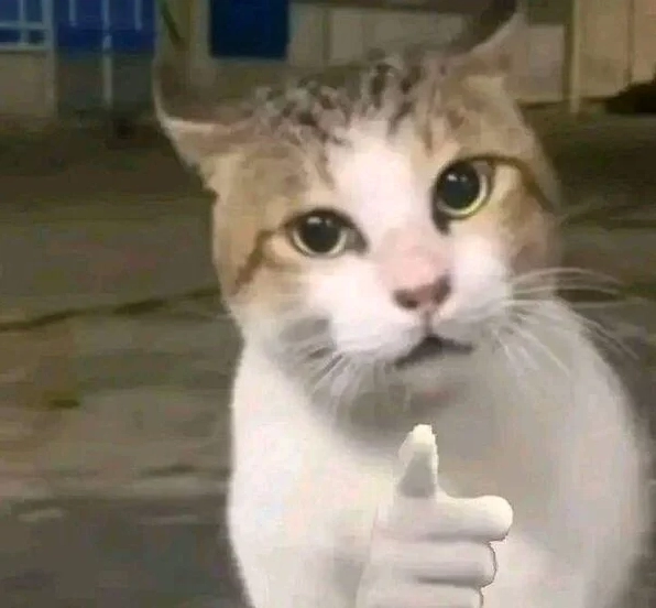 Khám Phá Thế Giới Meme Giơ Tay: Biểu Cảm Hài Hước Vô Đối