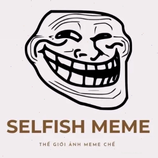 Logo The Selfish Meme