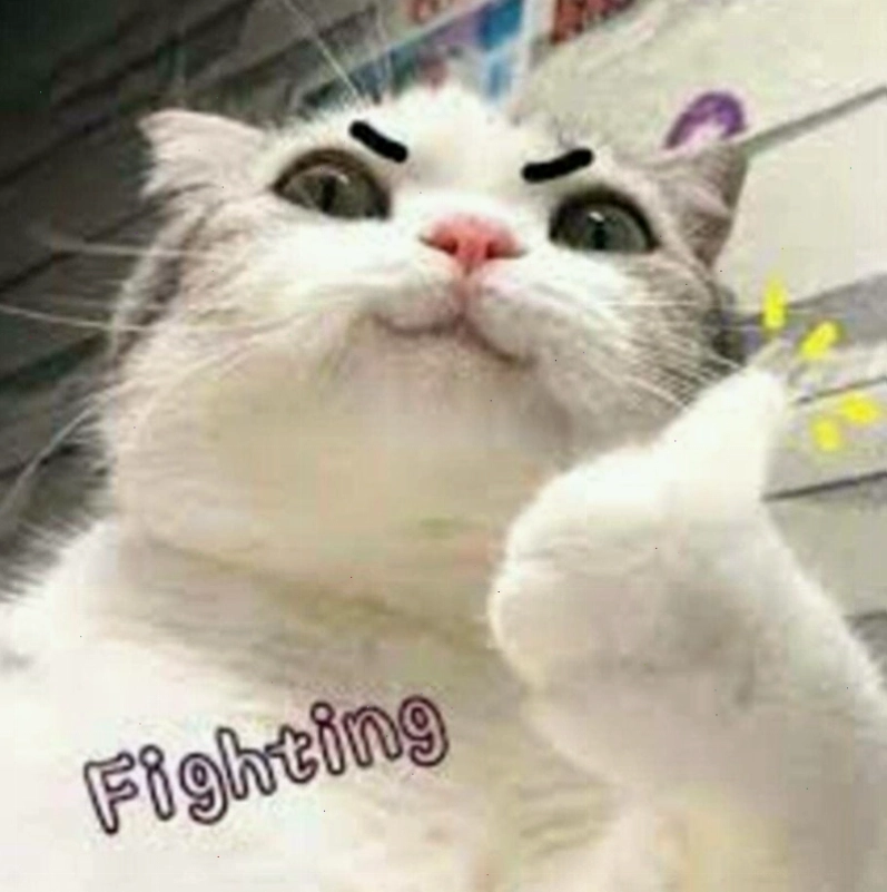 Lý do hình ảnh cố lên meme được yêu thích bởi sự hài hước và thông điệp tích cực
