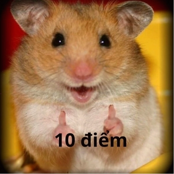 Meme 10 điểm dễ thương cho thú cưng