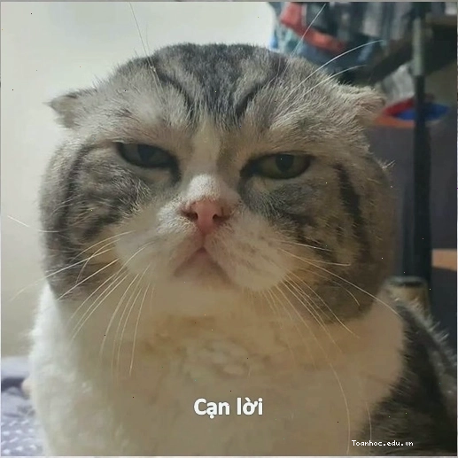 Meme bất lực me thể hiện sự ngao ngán