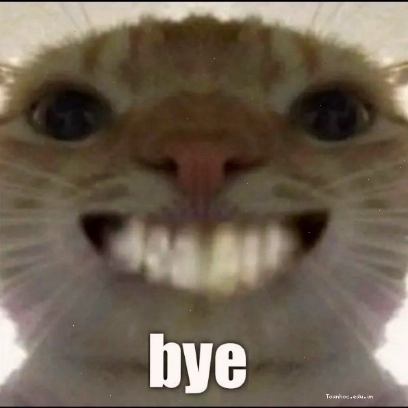 Meme bye bye với chú mèo có biểu cảm hài hước
