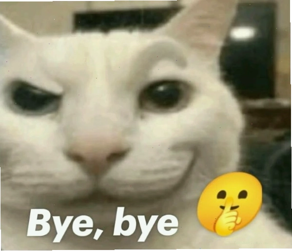 Meme bye của chú chó với biểu cảm đáng yêu