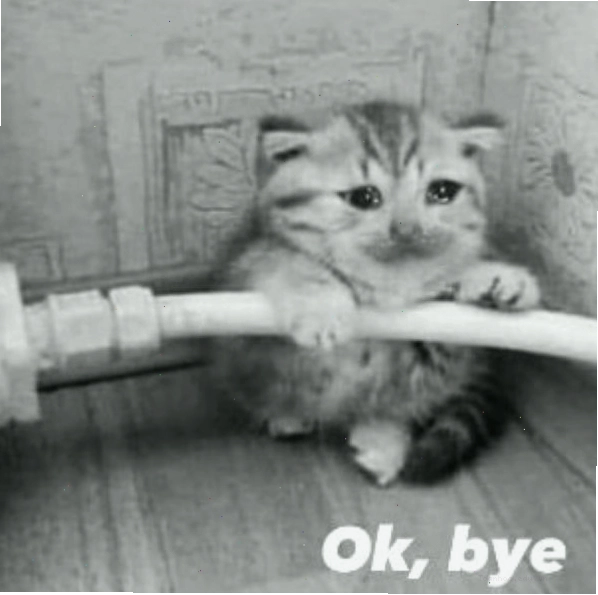 Meme bye hình ảnh người vẫy tay chào tạm biệt