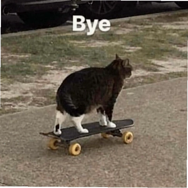 Meme bye phiên bản "mom i