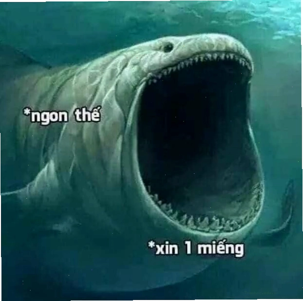Meme cá mập bò há to mồm