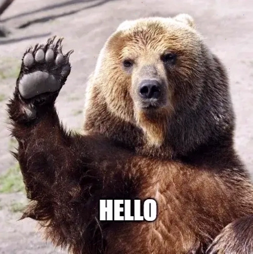 Meme chào hài hước với hình ảnh chú mèo vẫy tay