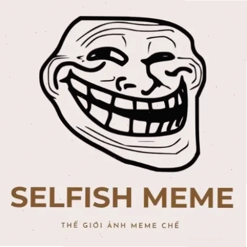 Meme chào với hình ảnh chú mèo đeo kính ngộ nghĩnh