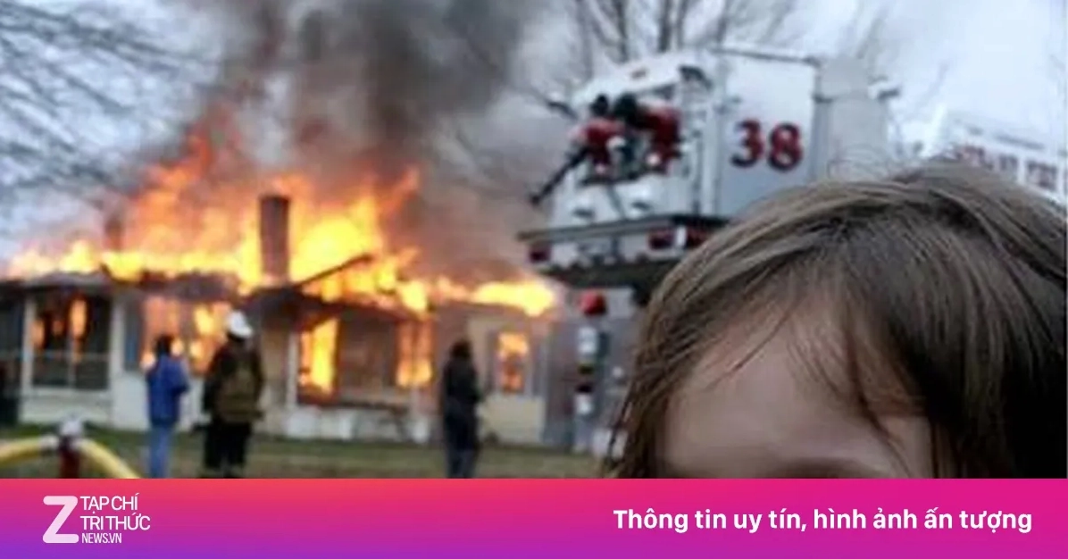 Meme cháy: Từ thảm họa đến cơ hội kiếm tiền triệu đô