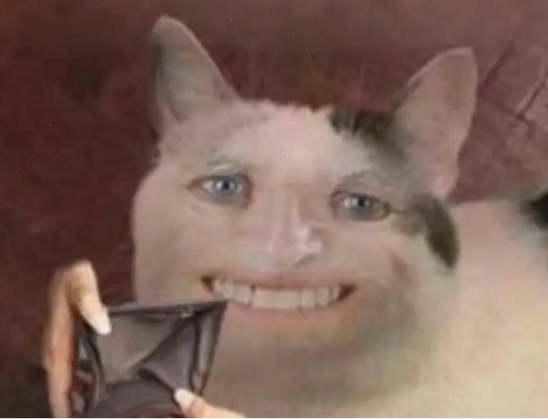 Meme "chết đói" vì hết tiền