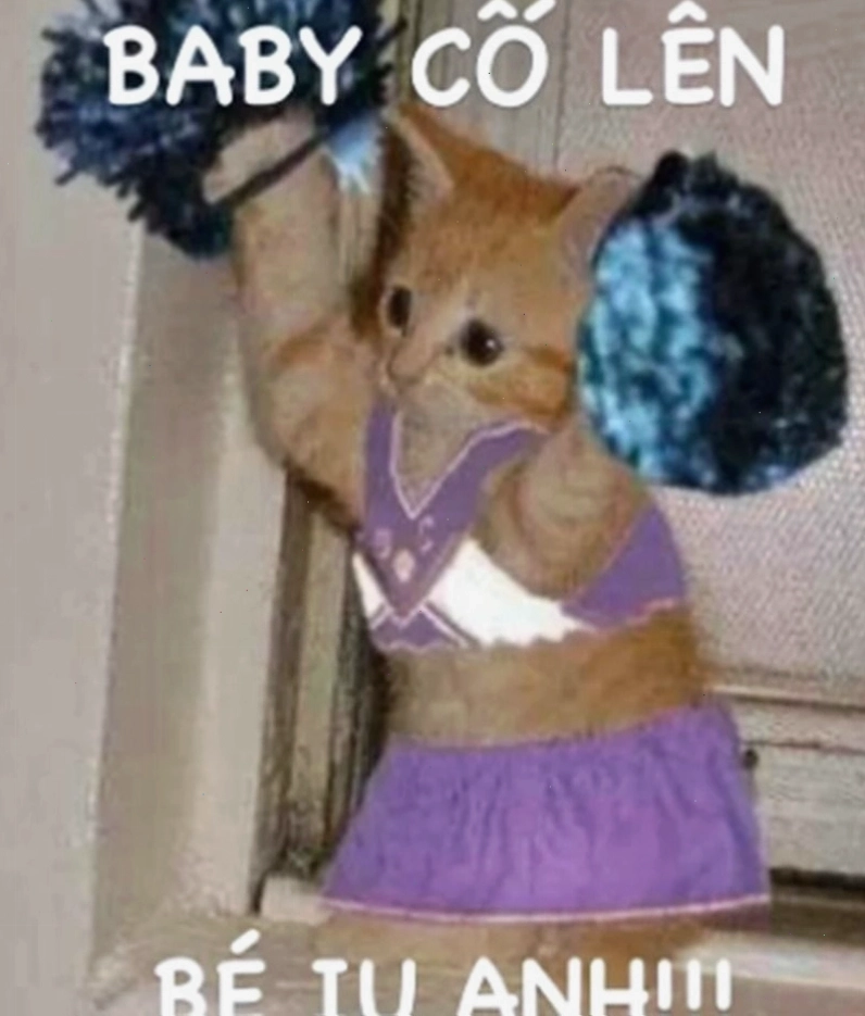 Meme cố lên dễ thương với chú mèo đeo nơ xinh xắn
