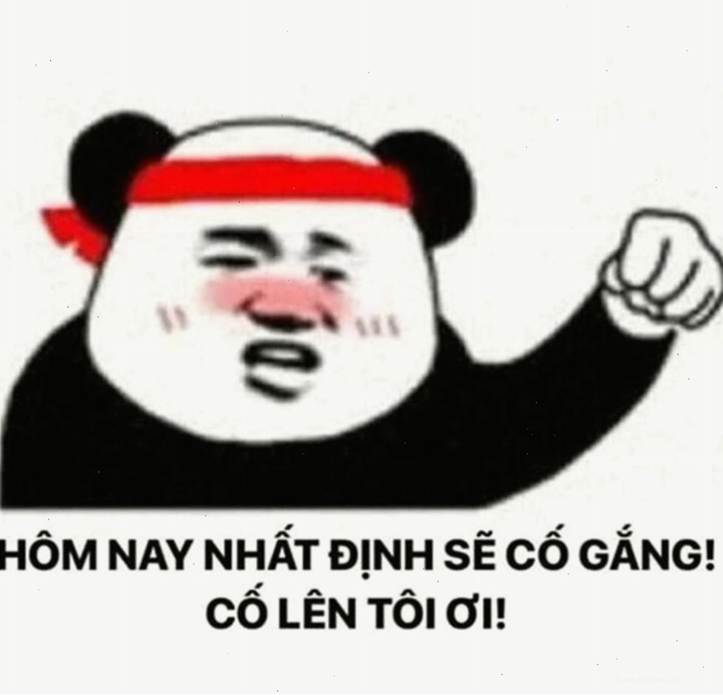 Meme cố lên với chú gấu trúc ngồi thiền