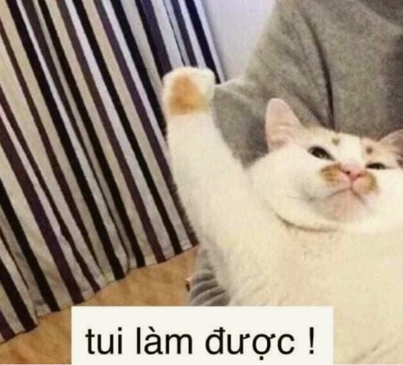 Meme cố lên với hình ảnh chú mèo đang cố gắng thể hiện sự nỗ lực