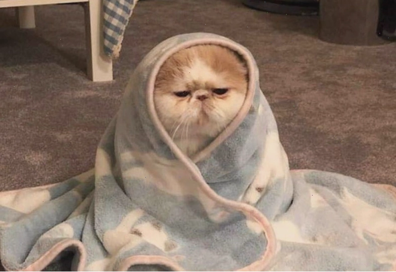 Meme dỗi cute với cử chỉ bĩu môi