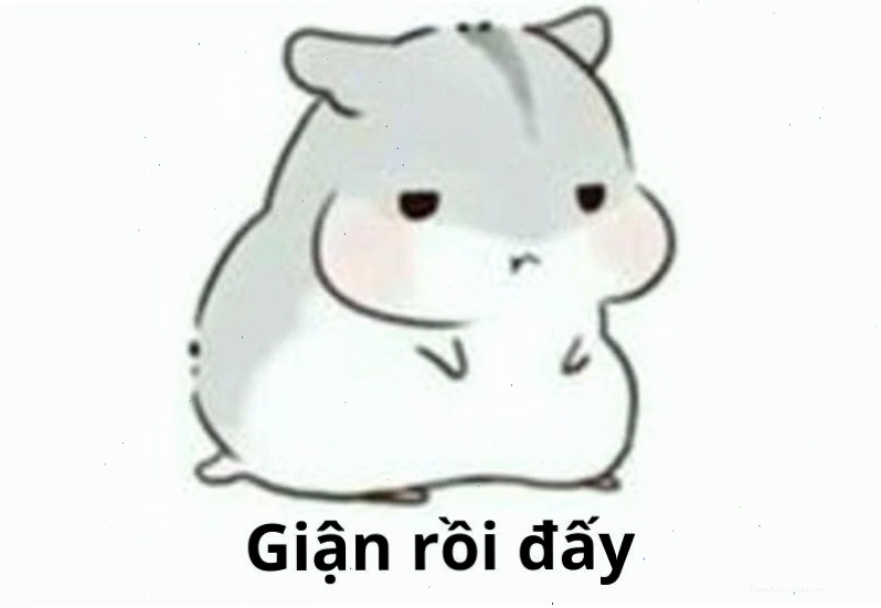 Meme dỗi giận rồi đấy với biểu cảm đáng yêu