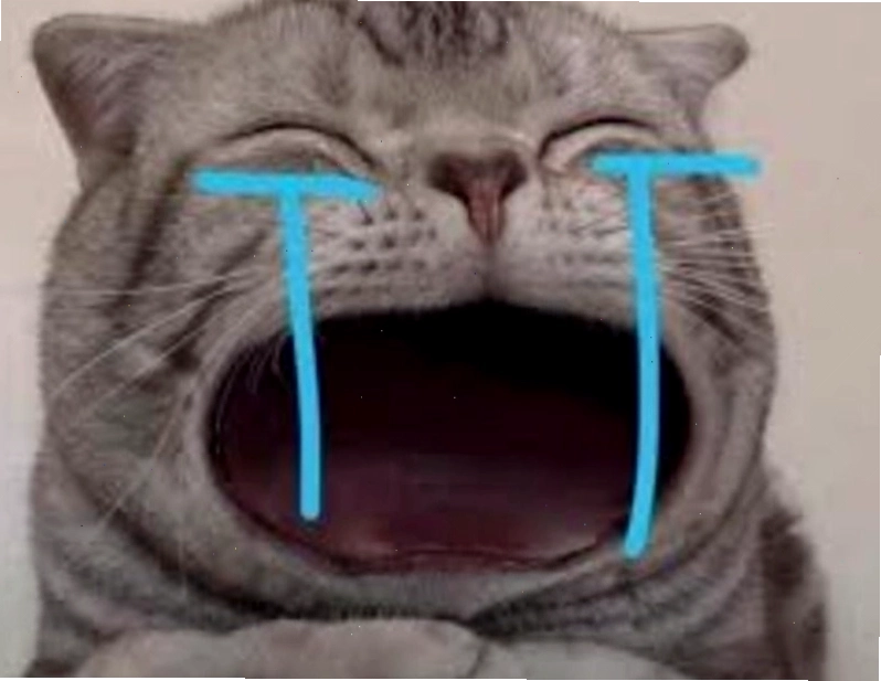 Meme động vật khóc đáng yêu và hài hước