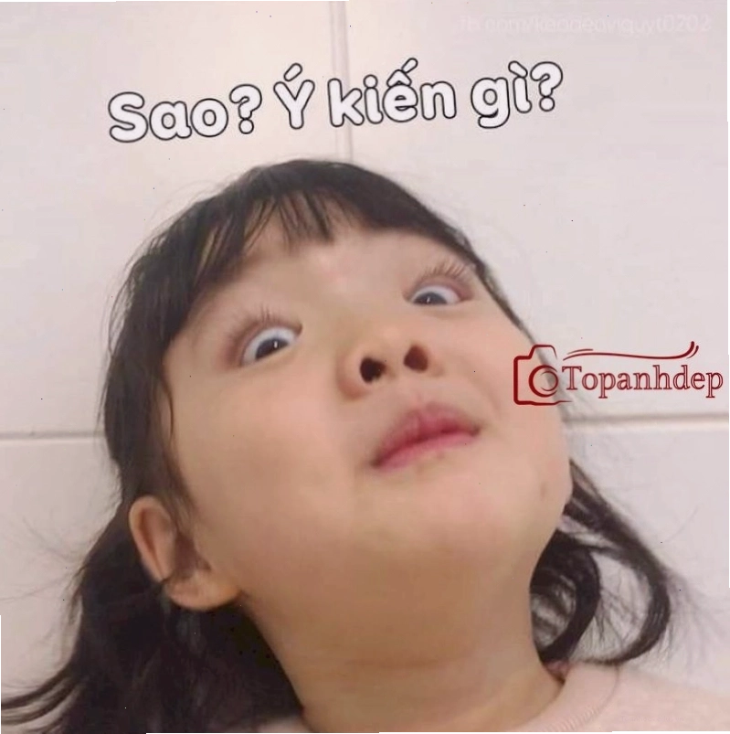 Meme em bé cute hài hước và đáng yêu