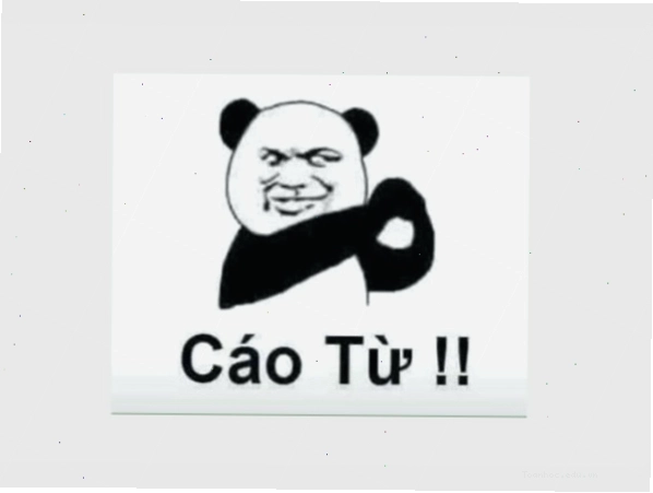 Meme gấu trúc hài hước, biểu cảm đáng yêu được yêu thích