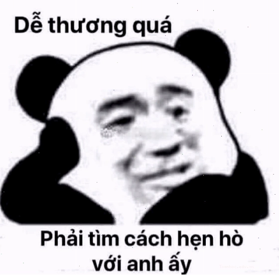 Meme gấu trúc với biểu cảm mê trai