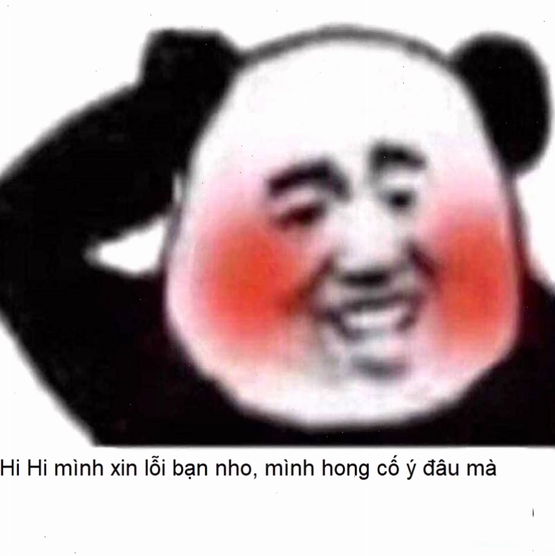 Meme gấu trúc với biểu cảm ngơ ngác xin lỗi