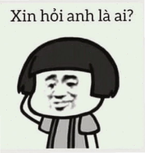 Meme gấu trúc với vẻ mặt ngơ ngác, ngu ngơ
