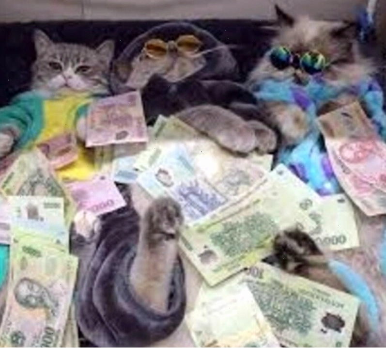 Meme "hoàng tử" hoặc "công chúa" với tiền bạc