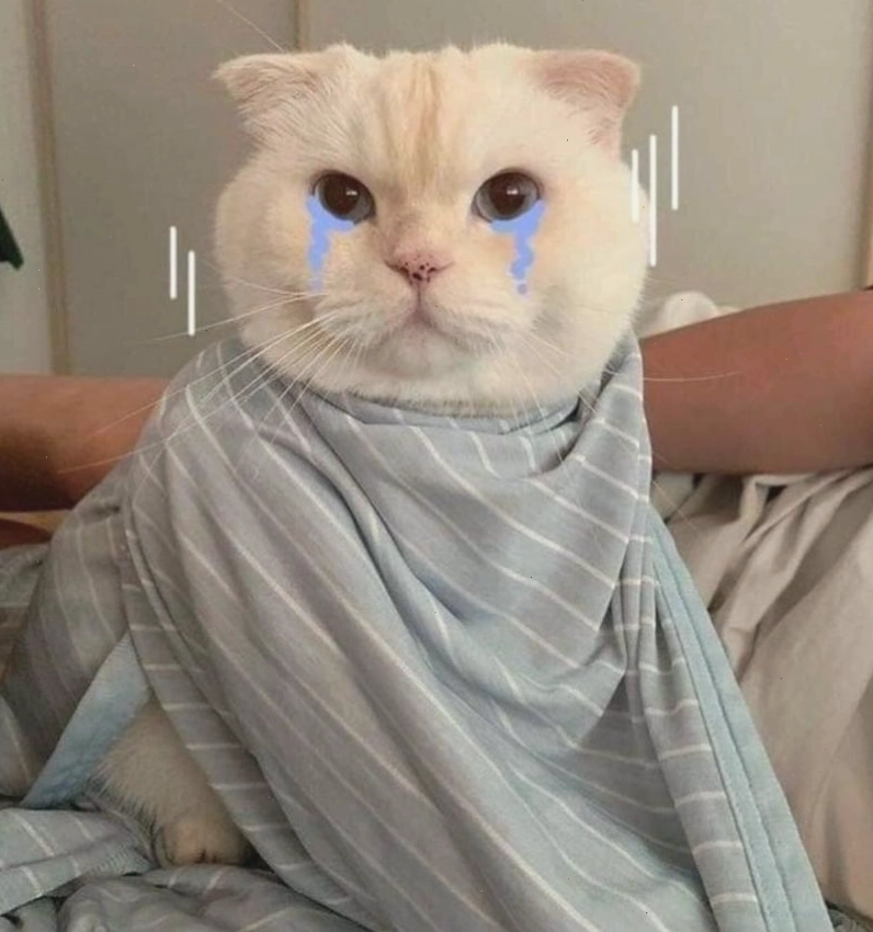 Meme hờn dỗi dễ thương