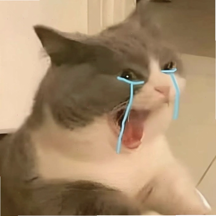 Meme mèo biểu cảm từ buồn đến vui