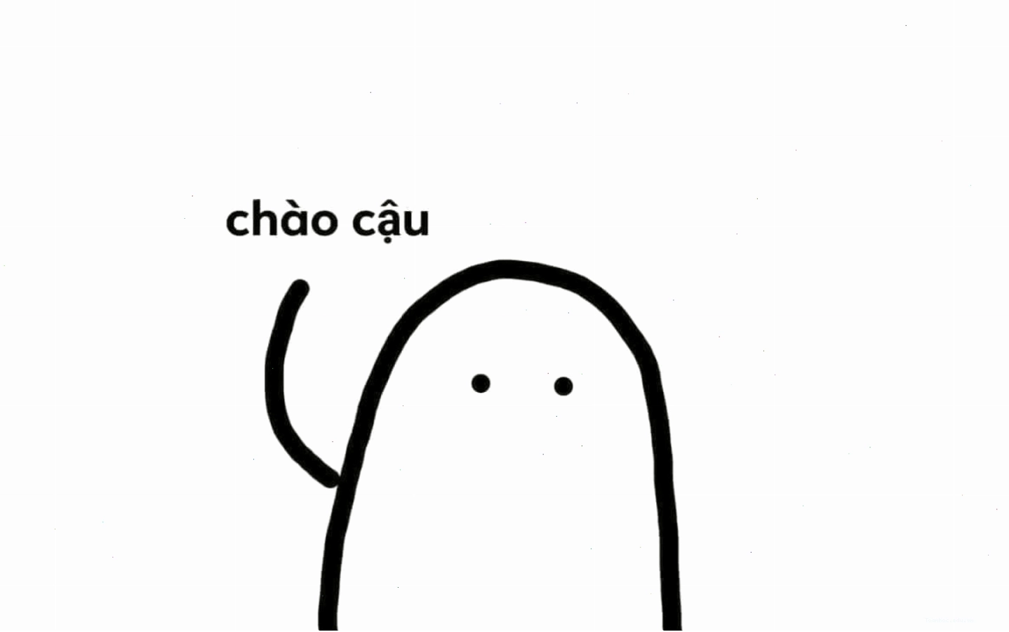 Meme mèo bựa với biểu cảm khó đỡ