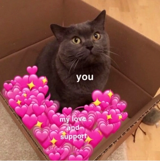 Meme mèo buồn đáng yêu với biểu cảm ngây thơ