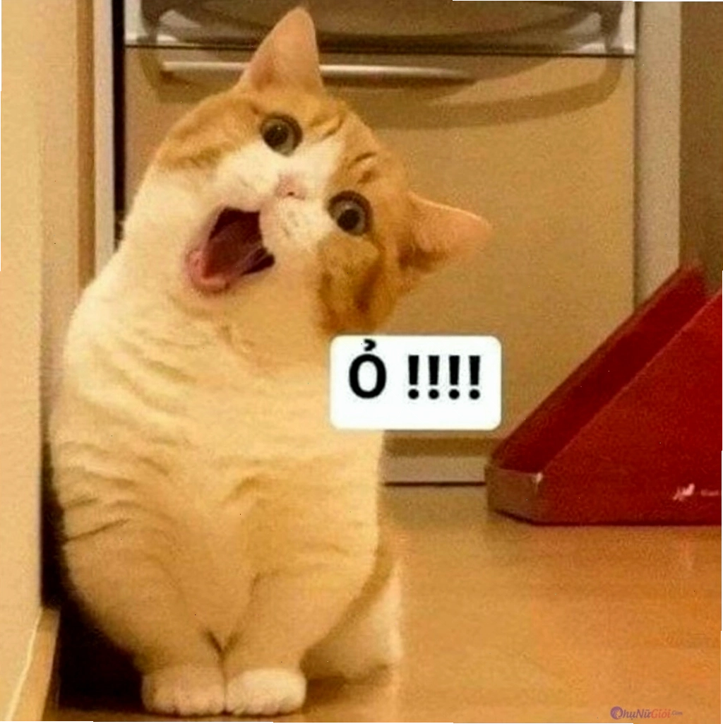 Meme mèo buồn thể hiện sự chán nản
