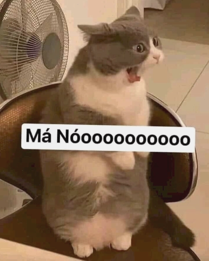 Meme mèo gào thét biểu cảm hài hước