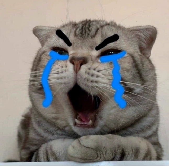 Meme mèo khóc với đôi mắt to tròn